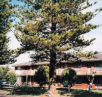 Eastern Beach Holiday Units - Hotels Melbourne