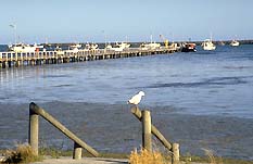 Port Macdonnell SA Hotels Melbourne