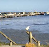 Seaview Motel and Holiday Units - Hotels Melbourne