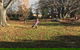 Glenelm Guest Cottage - thumb 2