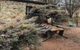 Glenelm Guest Cottage - thumb 8