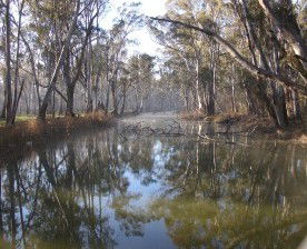 Gulpa Retreat Tourist Park - Hotels Melbourne 2