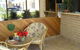 Great Lakes Motor Inn - thumb 1
