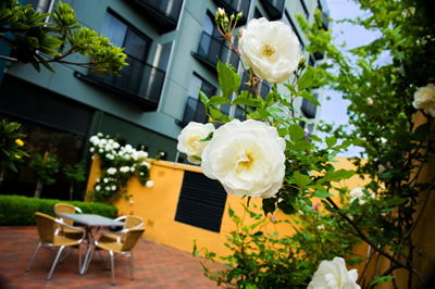 The Old Woolstore Apartment Hotel - Hotels Melbourne 5