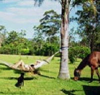Neds Bed Horse O Tel - Hotels Melbourne