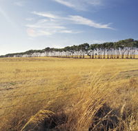 Port Wakefield Motel - Hotels Melbourne