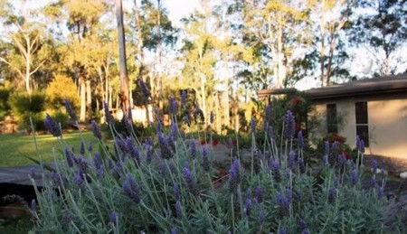 Wild Edge Retreat - Hotels Melbourne 2