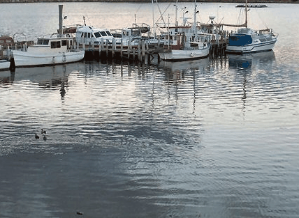 Hobart Apartments - Hotels Melbourne 1