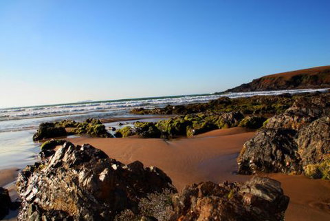 ArtHOUSE Beachfront Accommodation - Hotels Melbourne 8