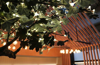 Ovolo Woolloomooloo - Hotels Melbourne 25
