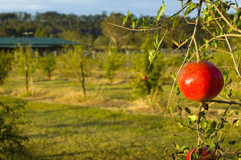 Talga Estate - Hotels Melbourne 25