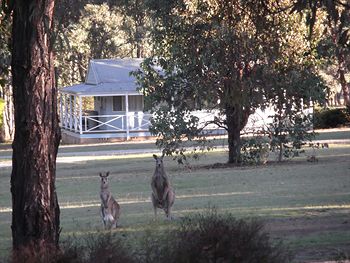 Cam-Way Estate - Hotels Melbourne 3