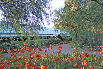 Casuarina Estate - Hotels Melbourne 49