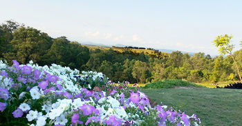 Wine Country Villas - Hotels Melbourne 27