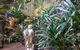 Linley House Bed & Breakfast - thumb 4