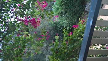 Linley House Bed & Breakfast - Hotels Melbourne 30