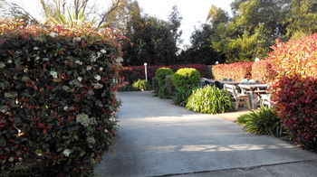 Branxton House Motel, Hunter Valley - Hotels Melbourne 13