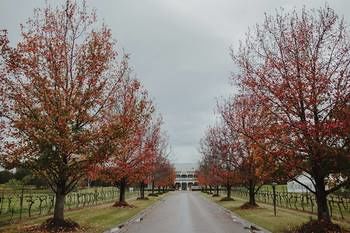 The Convent Hunter Valley - Hotels Melbourne 49