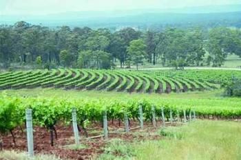 Hunter Hideaway Cottages - Hotels Melbourne 3