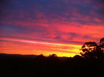 Rothbury Escape - Hotels Melbourne 11