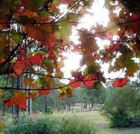 Elfin Hill Country Accommodation - Hotels Melbourne