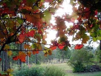 Elfin Hill Country Accommodation - Hotels Melbourne 0