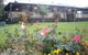 Brilex Park - thumb 1