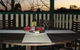 Brilex Park - thumb 11