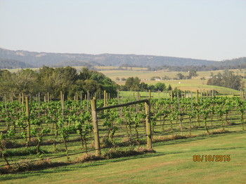 Tranquil Vale Vineyard & Cottages - Hotels Melbourne 5