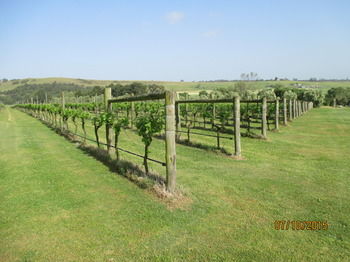 Tranquil Vale Vineyard & Cottages - Hotels Melbourne 8