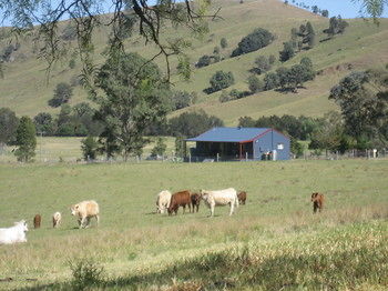 The Wattle Lodge - Hotels Melbourne 19
