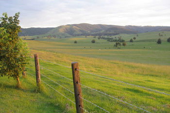 The Wattle Lodge - Hotels Melbourne 21