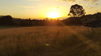 The Wattle Lodge - Hotels Melbourne 35