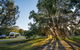 Delicate Campground - thumb 0