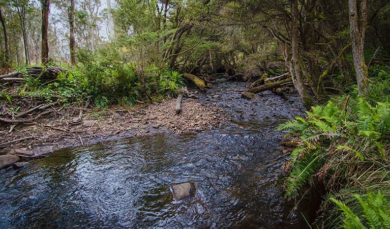 Moonan Brook NSW Hotels Melbourne