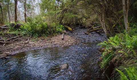 Horse Swamp Campground - Hotels Melbourne 0