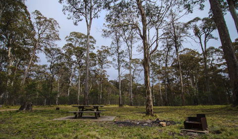 Horse Swamp Campground - Hotels Melbourne 1
