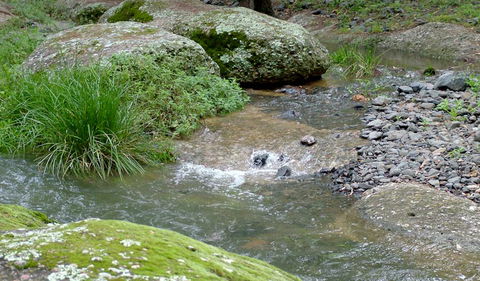 Washpools Campground - Hotels Melbourne 2