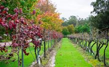 Peppers Convent Hunter Valley - Hotels Melbourne 4