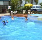 Golden Chain Palm Court Motor Inn - Port Macquarie