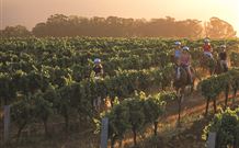 Hunter Valley Resort - Pokolbin - Hotels Melbourne 7