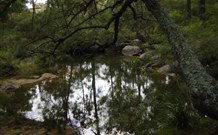 Palm Grove NSW Hotels Melbourne