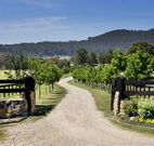 Pemberley Grange Hunter Valley Getaway - Hotels Melbourne