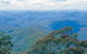 Lyrebird Studio - thumb 2