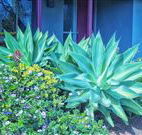 Retreat Homestead - Hotels Melbourne