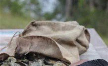 The Woods At Pokolbin - Hotels Melbourne 3