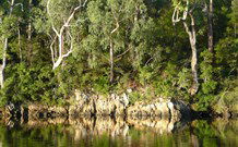The Woods At Pokolbin - Hotels Melbourne 5