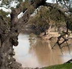 Valley View Cottage Hunter Valley - Hotels Melbourne