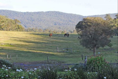 Wallaby Cottage - Hotels Melbourne 1