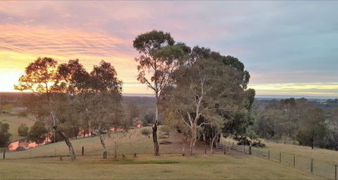 Blueberry Hills On Comleroy - Hotels Melbourne 9